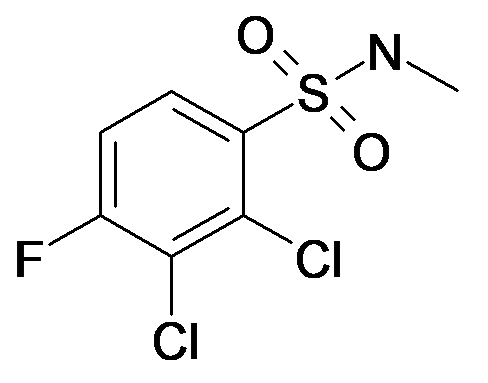 2,3-Dichloro-4-fluoro-N-methyl-benzenesulfonamide