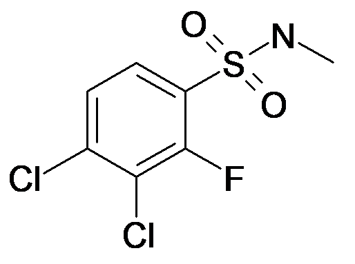 3,4-Dichloro-2-fluoro-N-methyl-benzenesulfonamide