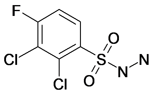 2,3-Dichloro-4-fluoro-benzenesulfonyl hydrazide