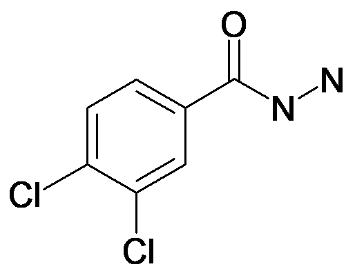 3,4-Dichloro-benzoic acid hydrazide